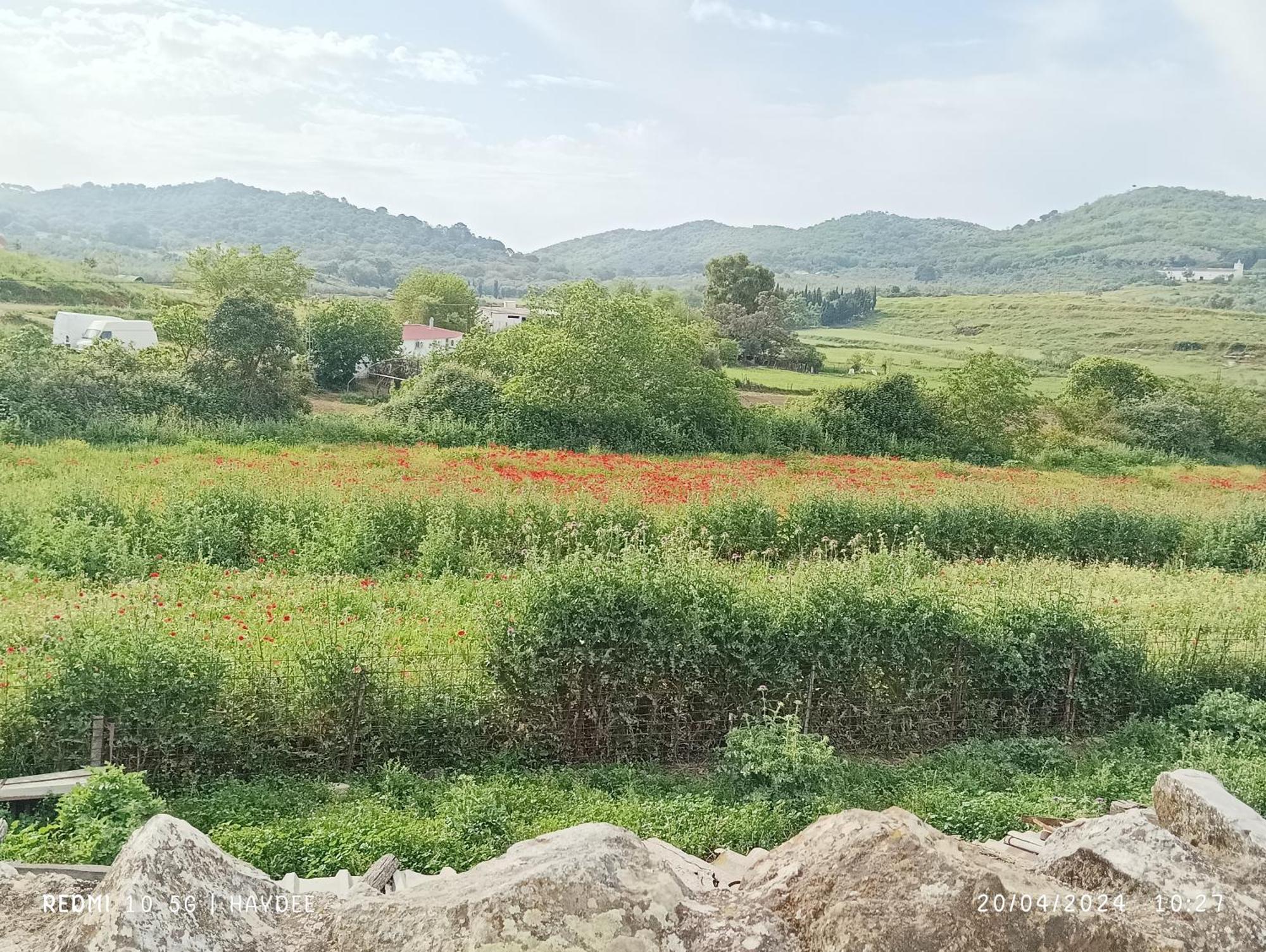 Casa El Azahin Vendégház Cazalla de la Sierra Kültér fotó