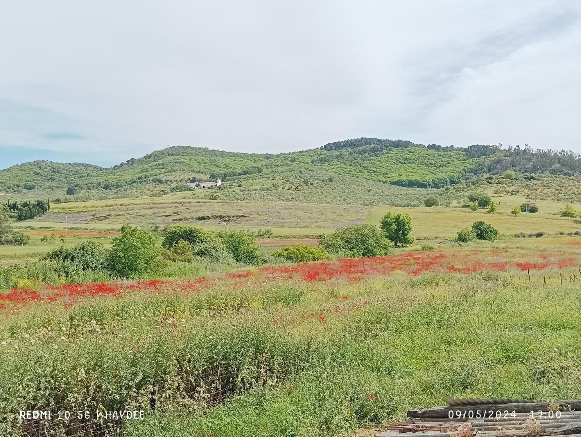 Casa El Azahin Vendégház Cazalla de la Sierra Szoba fotó