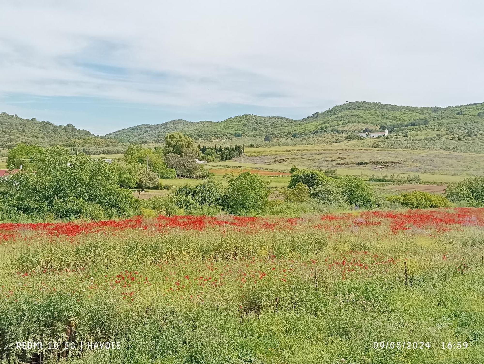 Casa El Azahin Vendégház Cazalla de la Sierra Szoba fotó